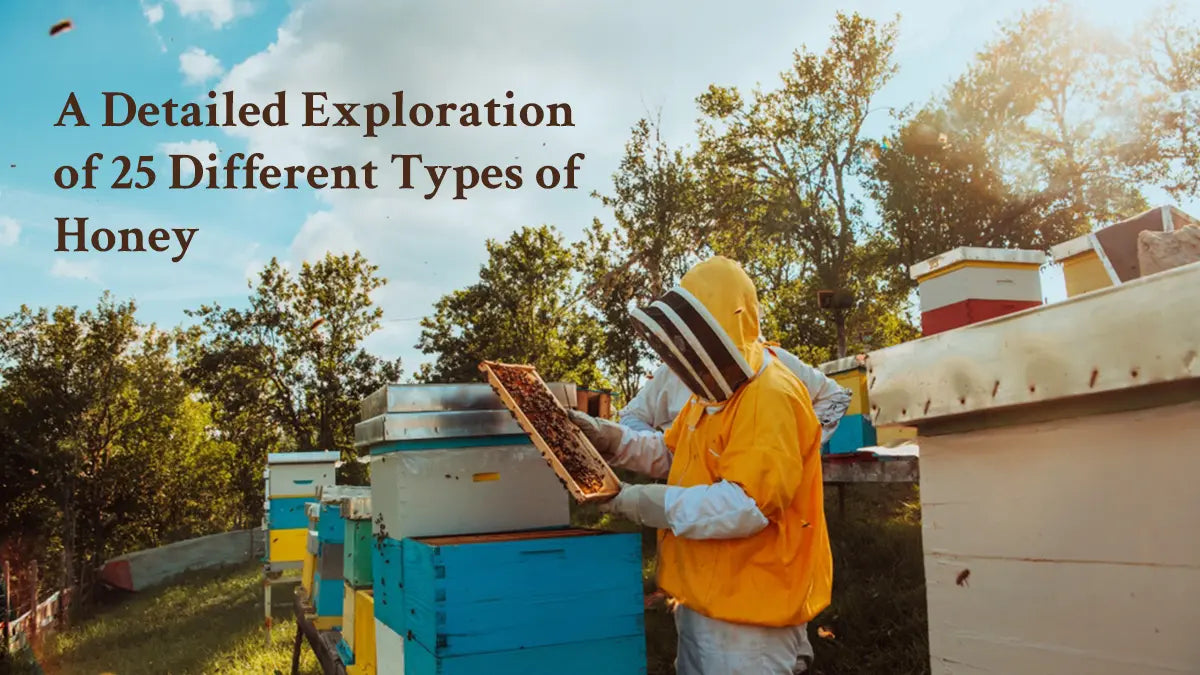 different-types-of-honey