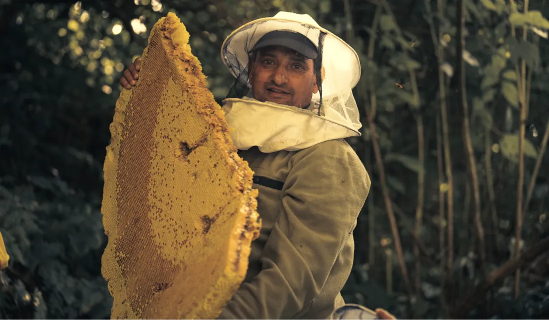 Person with mad honey