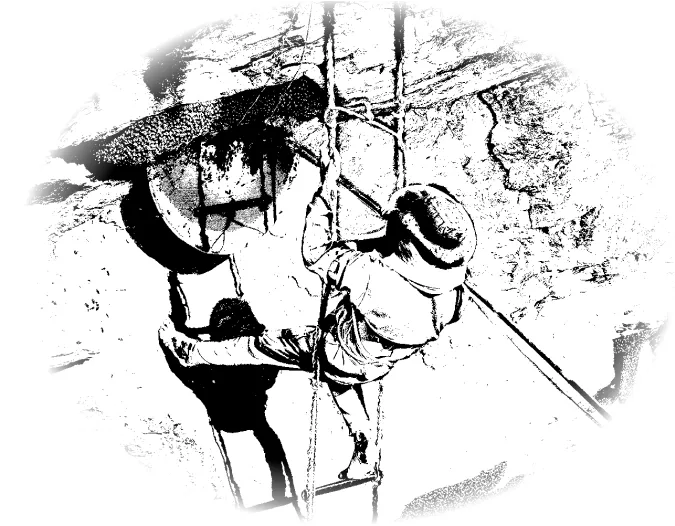 Harvesting mad honey