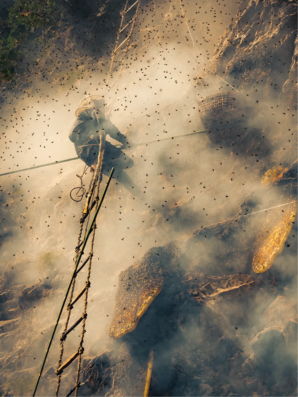 mad honey for sale near me