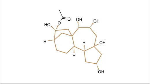 Chemical representation of Grayanotoxin