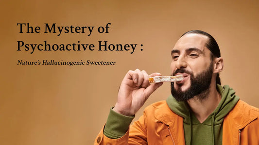 Psychoactive and hallucinogenic honey from Nepal