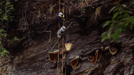 Traditional tools and equipment for Mad Honey Hunting