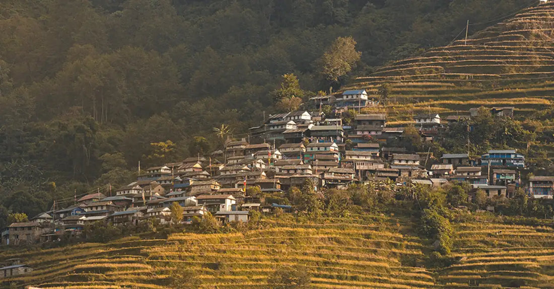 Usta Village: The World of Courageous Honey Hunters