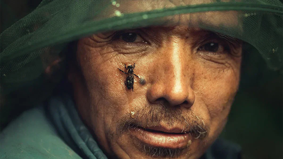 bees-symbolize-in-mad-honey-culture