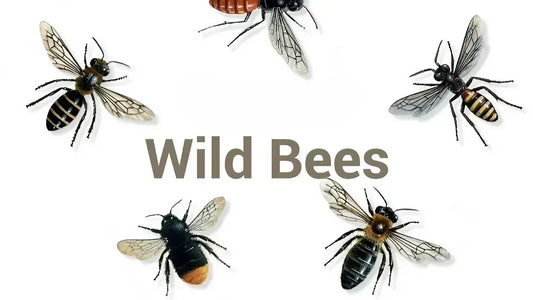 Wild Bees