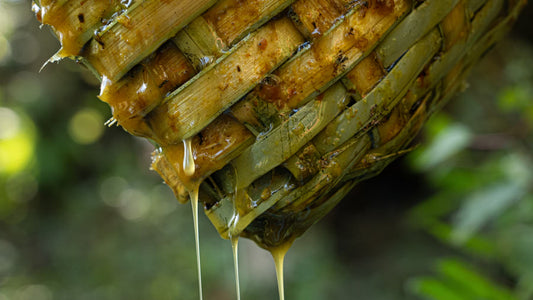 ways-to-verify-real-mad-honey