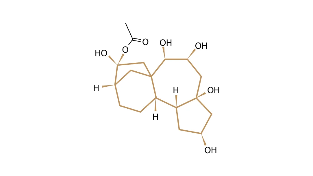Mad Honey