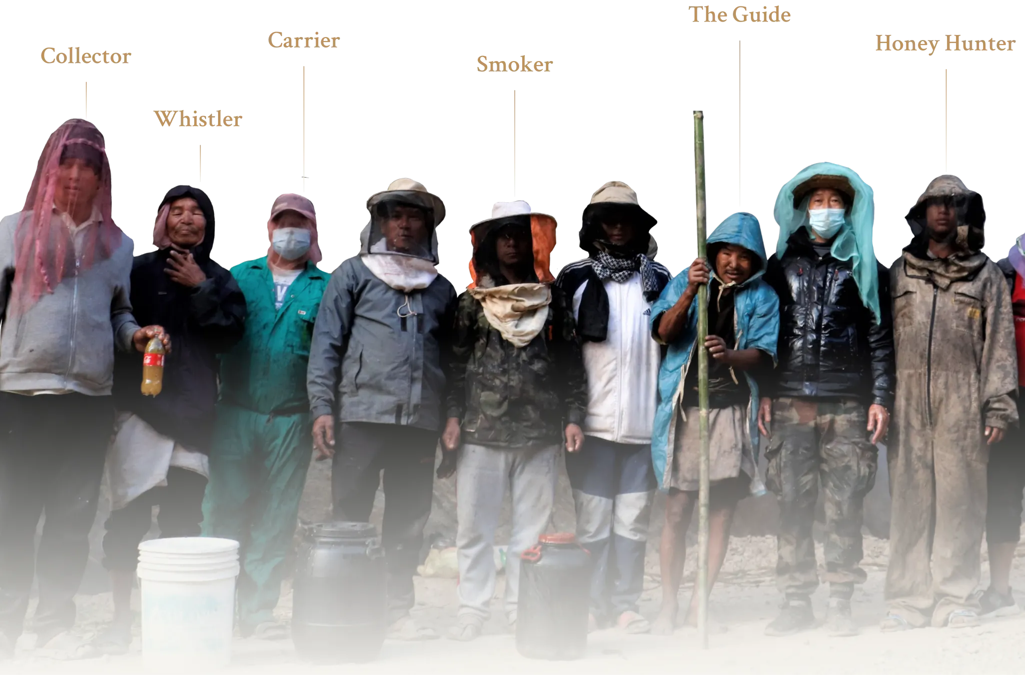 Team of workers that harvest mad honey