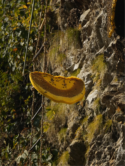 Mad Honey Soap