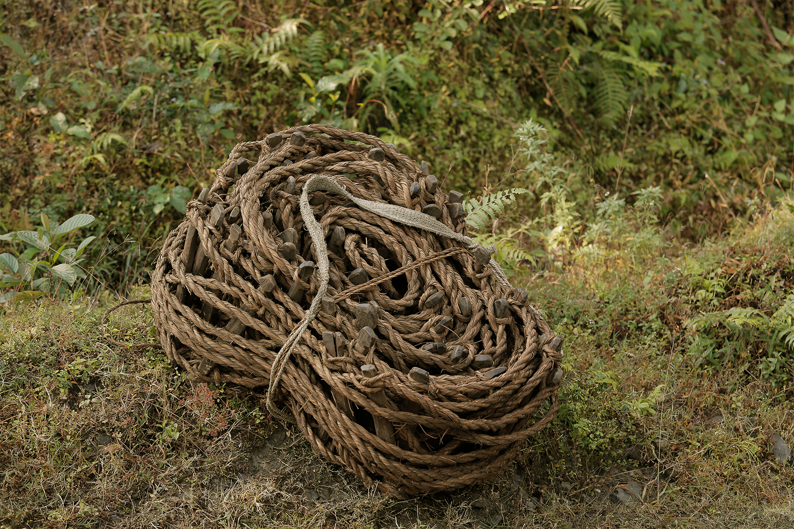 bamboo rope for mad honey hunting